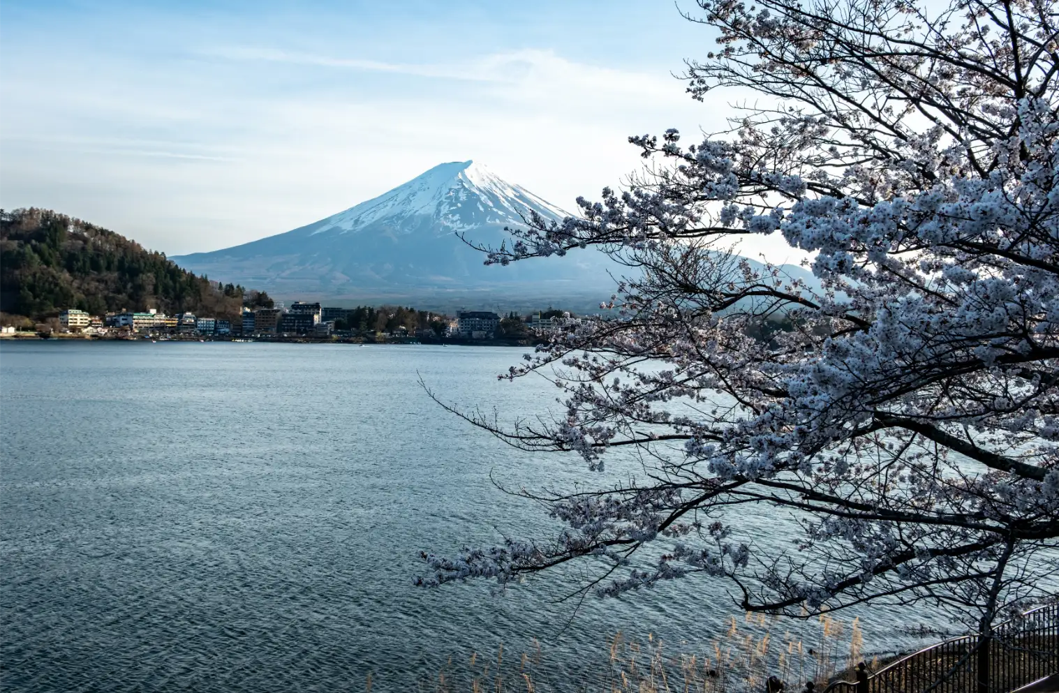 mount_fuji_japan-img (1)