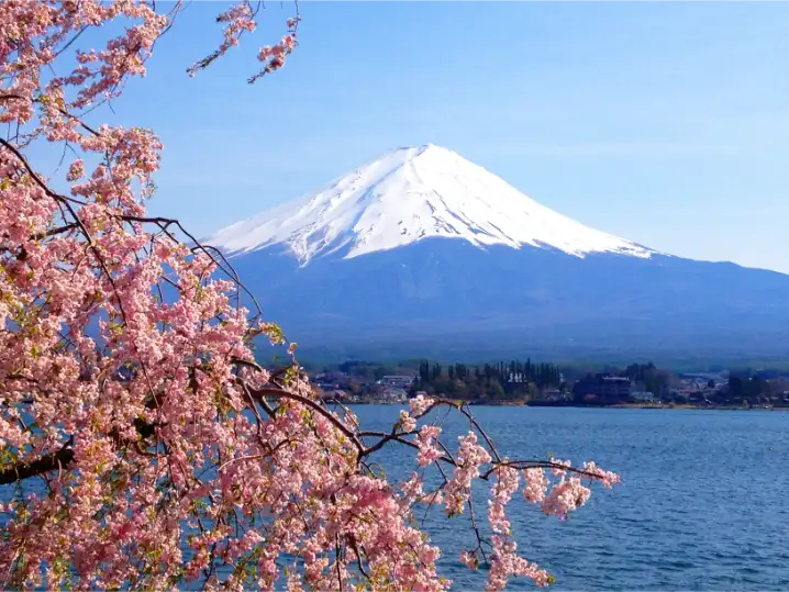 mount_fuji_japan-img (3)